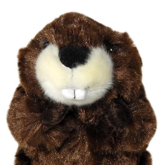 動物 ビーバー ぬいぐるみ 海狸 キュート販売 Cute フォレストエンジェル ビーバー 16cm まんぼう屋ドットコム Cu N00 まんぼう屋ドットコム Yahoo 店 通販 Yahoo ショッピング