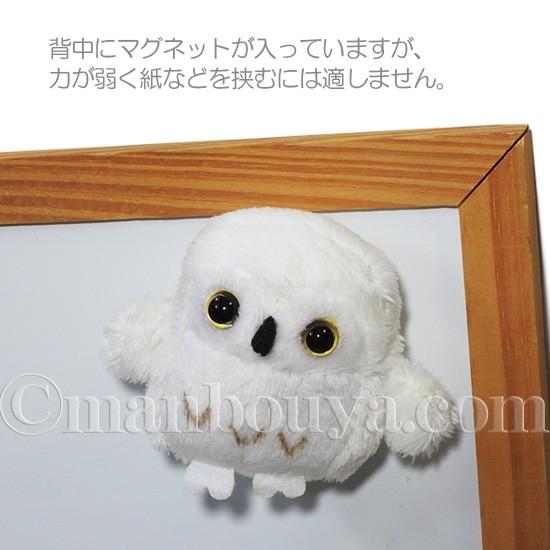 鳥 ぬいぐるみ フクロウ 雑貨 キュート販売 Cute マグネット入り ふくろう ホワイト 6cm メール便発送可 Cu N0094 まんぼう屋ドットコム Yahoo 店 通販 Yahoo ショッピング
