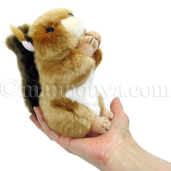 シュコー社 リス ぬいぐるみ リス ぬいぐるみ 動物 キュート販売 CUTE 日本リス SS 12cm