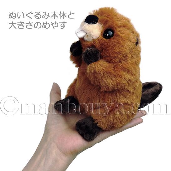 動物 ビーバー ぬいぐるみ 麦わら帽子 セット キュート販売 CUTE ふわふわビーバー 16cm 夏のお散歩｜manbouya｜05