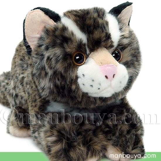 タグ付き新品　あずまんが大王　イリオモテヤマネコ　ぬいぐるみ イリオモテヤマネコ ぬいぐるみ 沖縄 お土産 雑貨 キュート販売 CUTE