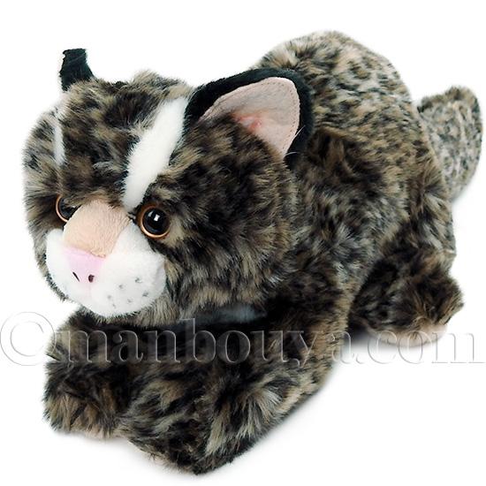 gyunuya 新進気鋭　ぬいぐるみ作家　ギュウニュウヤ　猫 gyunuya 新進気鋭 ぬいぐるみ作家 ギュウニュウヤ 猫