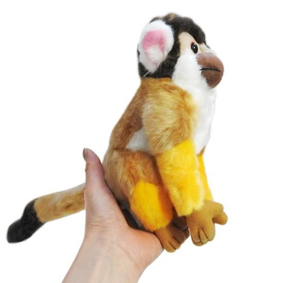 可愛い 猿のぬいぐるみ サル 動物園 キュート販売 Cute サファリコレクション リスザル Mサイズ 18cm Cu Z0019 まんぼう屋ドットコム Yahoo 店 通販 Yahoo ショッピング