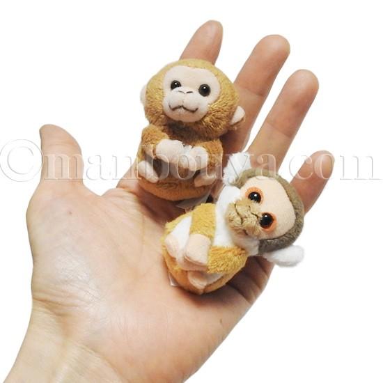 サル ぬいぐるみ ミニ 動物園 キュート販売 Cuteマグネットシリーズ 猿 5cm メール便発送可 Cu Z0111 まんぼう屋ドットコム Yahoo 店 通販 Yahoo ショッピング