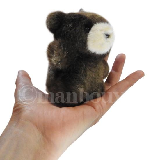 ぬいぐるみ くま 動物 キュート販売 CUTE フォレストエンジェル