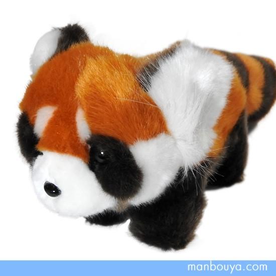 レッサーパンダぬいぐるみ ぬいぐるみ】レッサーパンダ◇キュート販売◇CUTE safari