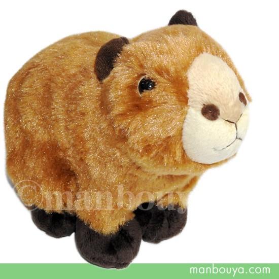動物園 カピバラ ぬいぐるみ キュート販売 Cute サファリコレクション カピバラくん Sサイズ cm まんぼう屋ドットコム Cu Z0226 まんぼう屋ドットコム Yahoo 店 通販 Yahoo ショッピング