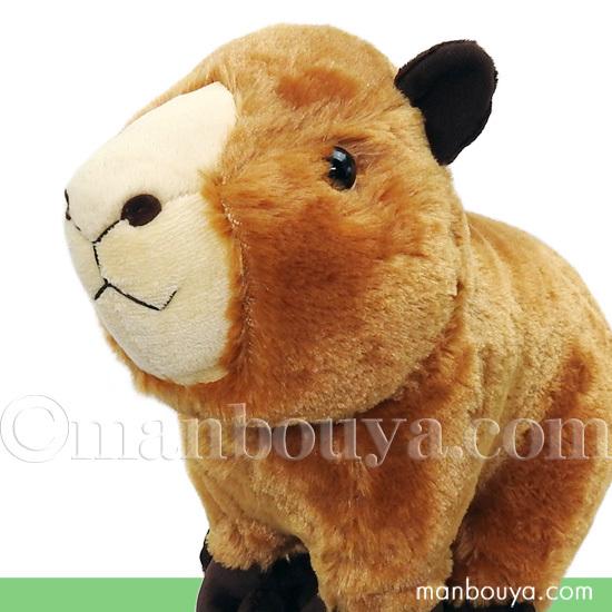 ぬいぐるみ カピバラ グッズ 置物 動物 キュート販売 Cute カピバラくん M 32cm Cu Z0227 まんぼう屋ドットコム Yahoo 店 通販 Yahoo ショッピング