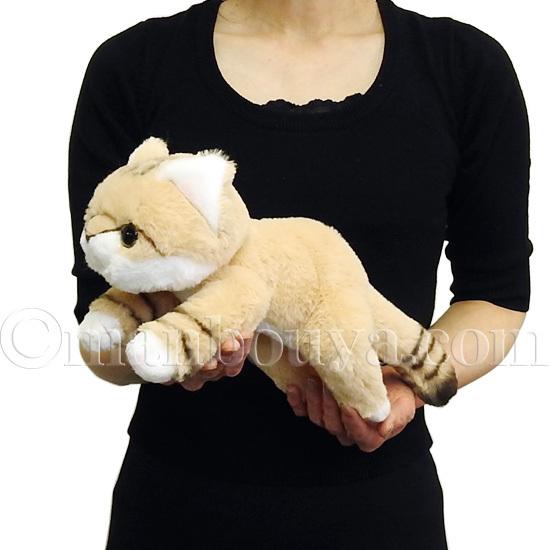 スナネコ スナネコ ぬいぐるみ 猫 野生動物 キュート販売 CUTE くたくた