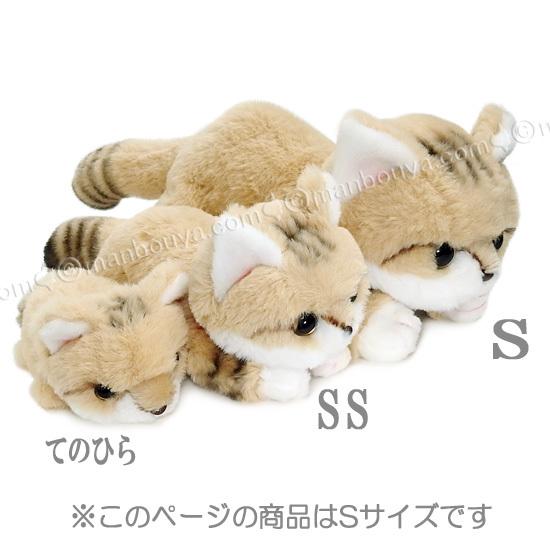 スナネコ ぬいぐるみ 猫 野生動物 キュート販売 CUTE くたくた