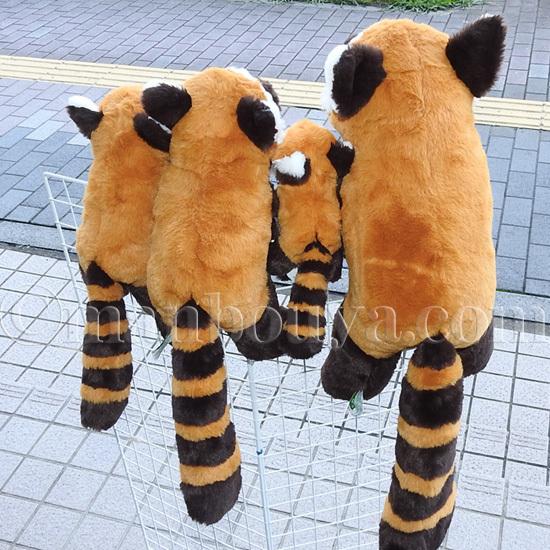 5％OFF レッサーパンダ ぬいぐるみ 動物園 おみやげ キュート