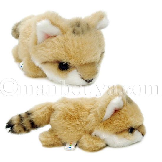 スナネコ ぬいぐるみ 猫 野生動物 キュート販売 CUTE くたくた