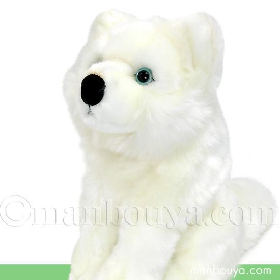 オオカミぬいぐるみ 狼 白 キュート販売 CUTE シンリンオオカミ