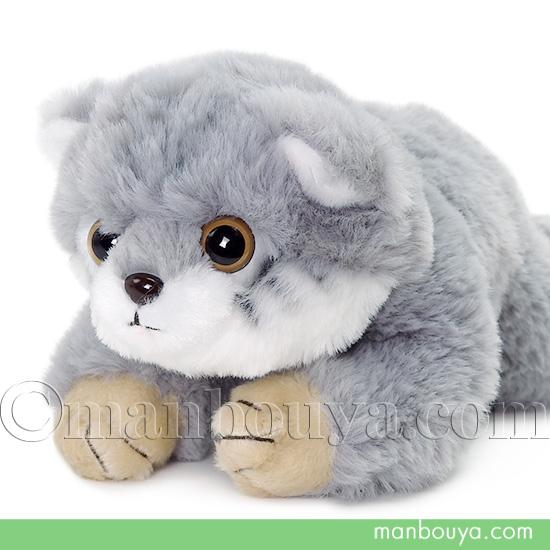 マヌルネコ ぬいぐるみ 猫 モウコヤマネコ キュート販売 CUTE くたくた