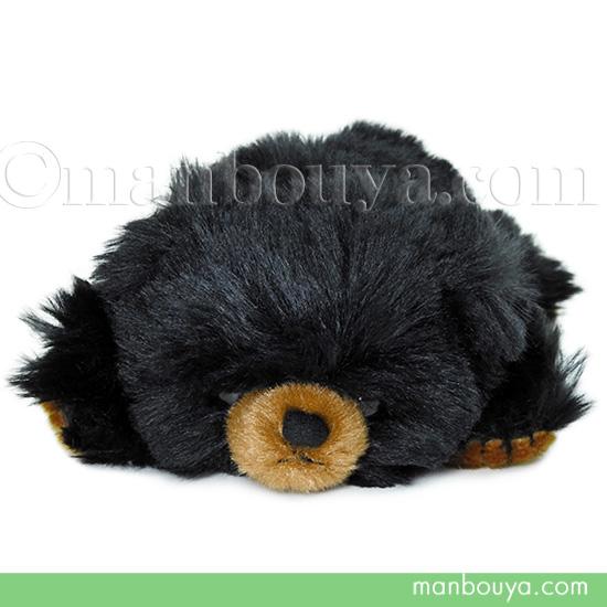 ぬいぐるみ くま テディベア 寝そべりタイプ キュート販売 CUTE くっ