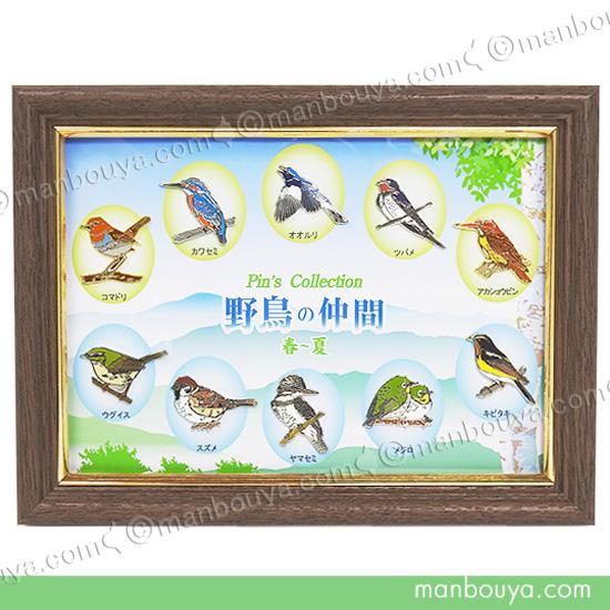 野鳥 ピンバッジ コレクション ピンズ ピンバッヂ 額入り 10種セット