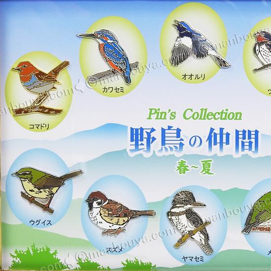 野鳥 ピンバッジ コレクション ピンズ ピンバッヂ 額入り 10種セット