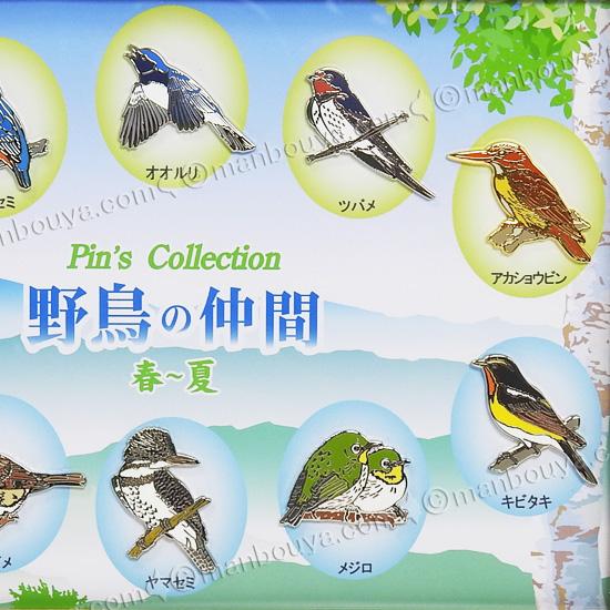 野鳥 ピンバッジ コレクション ピンズ ピンバッヂ 額入り 10種セット