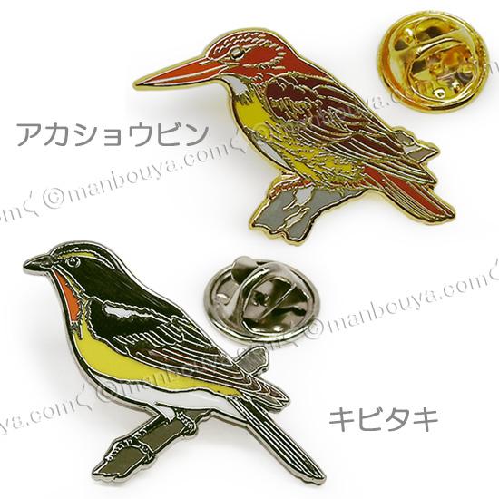 野鳥 ピンバッジ コレクション ピンズ ピンバッヂ 額入り 10種セット