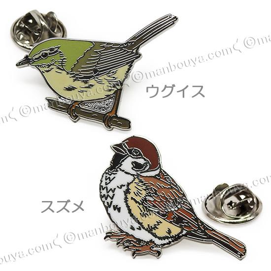 野鳥 ピンバッジ コレクション ピンズ ピンバッヂ 額入り 10種セット