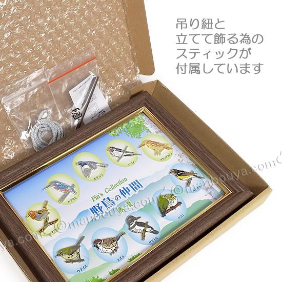 野鳥 ピンバッジ コレクション ピンズ ピンバッヂ 額入り 10種セット
