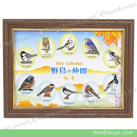 野鳥 ピンバッジ コレクション ピンズ ピンバッヂ 額入り 10種セット