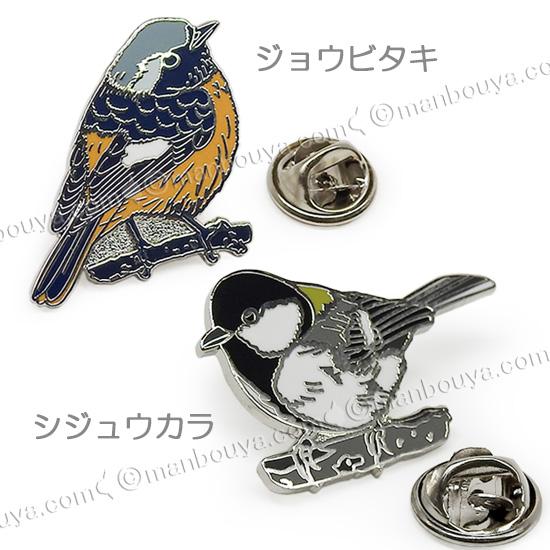 野鳥 ピンバッジ コレクション ピンズ ピンバッヂ 額入り 10種セット
