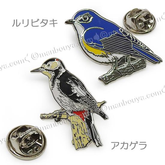 野鳥 ピンバッジ コレクション ピンズ ピンバッヂ 額入り 10種セット