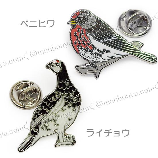 野鳥 ピンバッジ コレクション ピンズ ピンバッヂ 額入り 10種セット