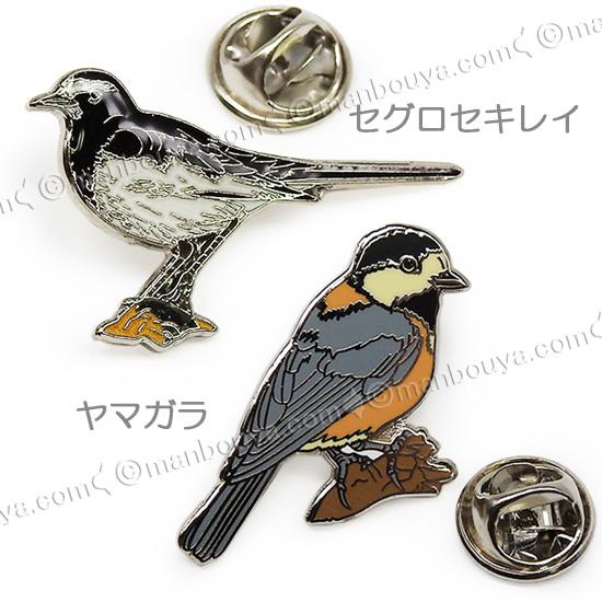 野鳥 ピンバッジ コレクション ピンズ ピンバッヂ 額入り 10種セット