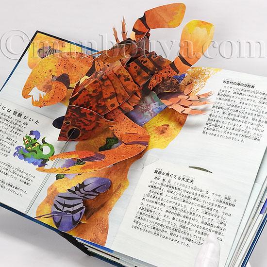 飛び出す絵本 しかけ絵本 海の古代生物 図鑑 立体 大日本絵画