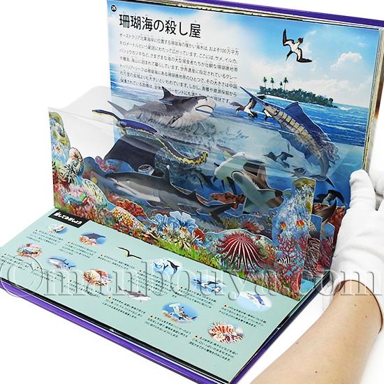 アニマリア　地球の動物たちへの旅 　 飛び出す絵本 激安アウトレット!】 アニマリア地球の動物たちへの旅 飛び出す