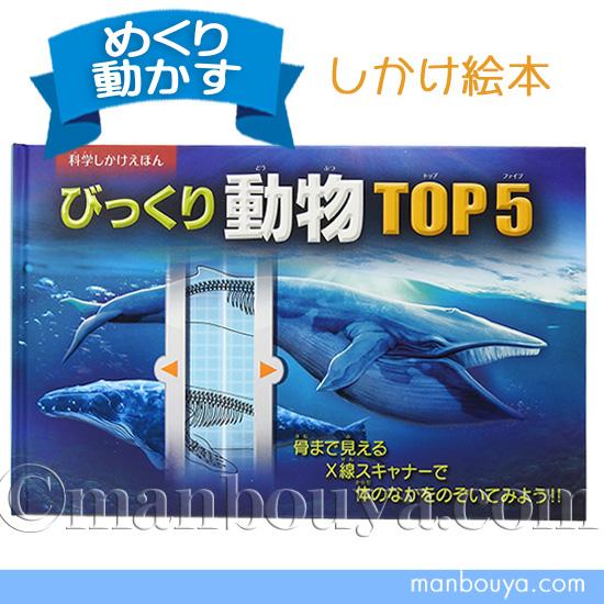 カレイドスコープ(まんげきょう) しかけ絵本 大日本絵画 Amazon.co.jp: カレイドスコ-プ(まんげきょう) (しかけえほん