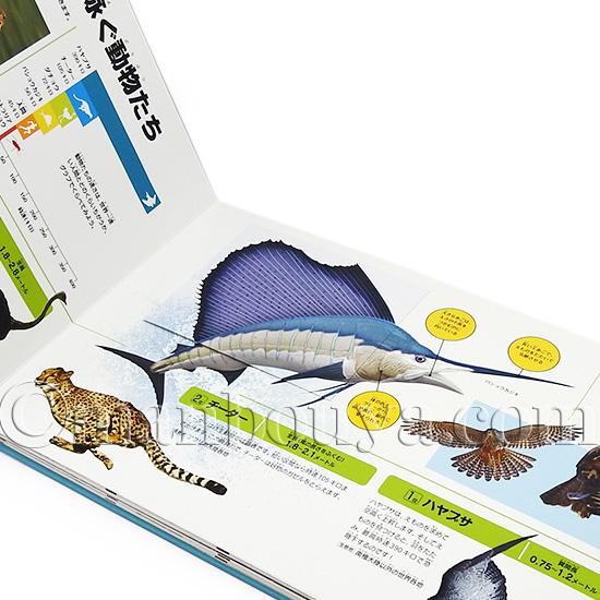 しかけ絵本 動物 図鑑 大日本絵画 びっくり動物 TOP5 : まんぼう屋