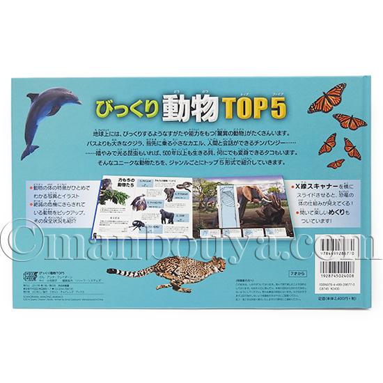 しかけ絵本 動物 図鑑 大日本絵画 びっくり動物 TOP5 : まんぼう屋