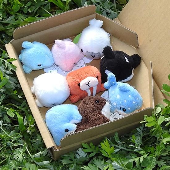 水族館&動物園ぬいぐるみセット 5%OFF 水族館 グッズ ぬいぐるみ セット A-SHOW ムニュマムお手玉