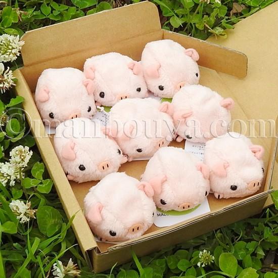 5%OFF 動物 ブタ ぬいぐるみ セット A-SHOW ムニュマムお手玉 箱詰め
