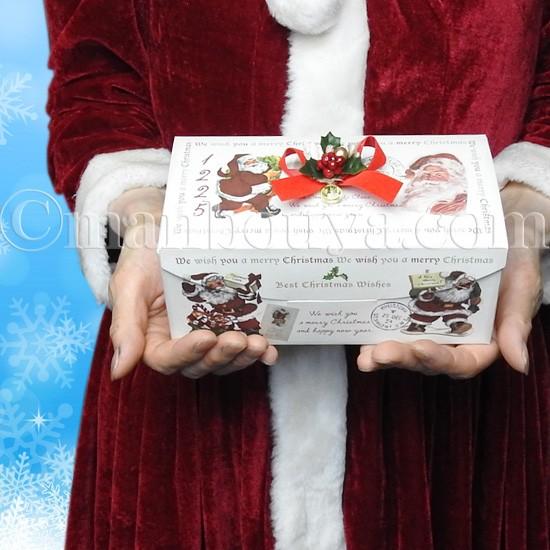 クリスマスギフトボックス イモリ ぬいぐるみ セット 2色詰め合わせ アカハライモリ メール便発送可 Hako Xmas B004 まんぼう屋ドットコム Yahoo 店 通販 Yahoo ショッピング