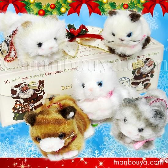たけのこ ネコ ぬいぐるみ 猫 クリスマスプレゼント 女の子 彼女 バンビーノキャット 5点セット B Hako Xmas C004 まんぼう屋ドットコム Yahoo 店 通販 Yahoo ショッピング