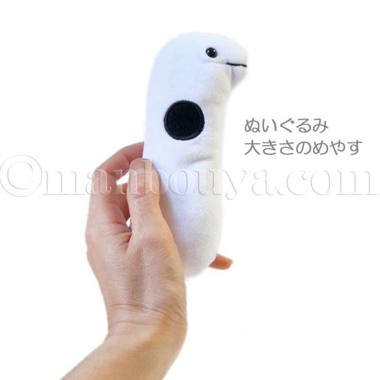 チンアナゴのぬいぐるみ チンアナゴ グッズ ぬいぐるみ 水族館お土産 アミューズ AMUFUN