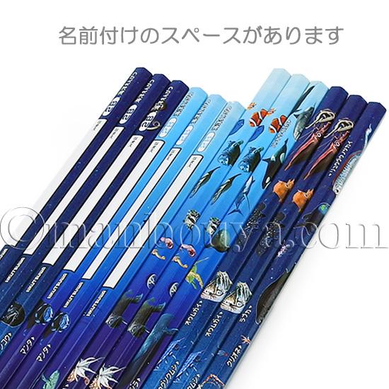 水族館グッズ 文房具 鉛筆 2B 1ダース クツワ 海洋えんぴつ : まんぼう