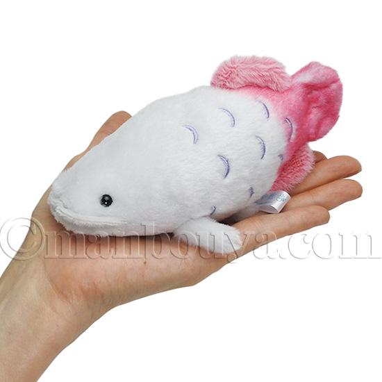魚 ピラルクー ぬいぐるみ 内藤デザイン研究所 海中散歩 ぽちゃまるS