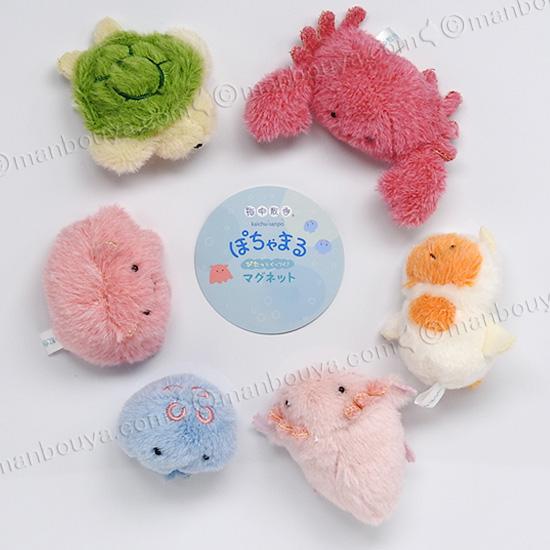 海の生き物 カメ ぬいぐるみ 海中散歩 ぽちゃまる マグネット ウミガメ