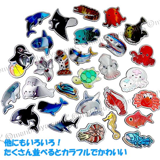 海の生き物 マグネット 水族館お土産 エッチングダイカットマグネット