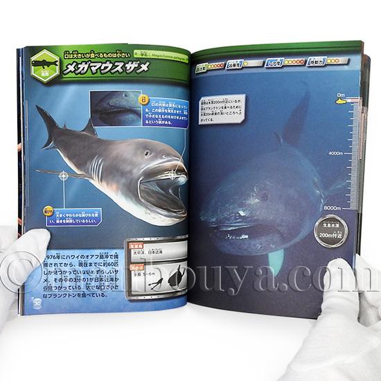 【7887】海外　墨魚先生新品　3/5/巻売り　貝殻光　人物系　星座　動物 7887】海外 墨魚先生新品 3/5/巻売り 貝殻光 人物系 星座 動物