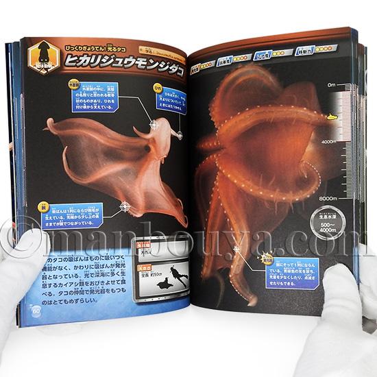 深海魚 図鑑 本 児童書 水族館グッズ 深海生物 最驚 永岡書店