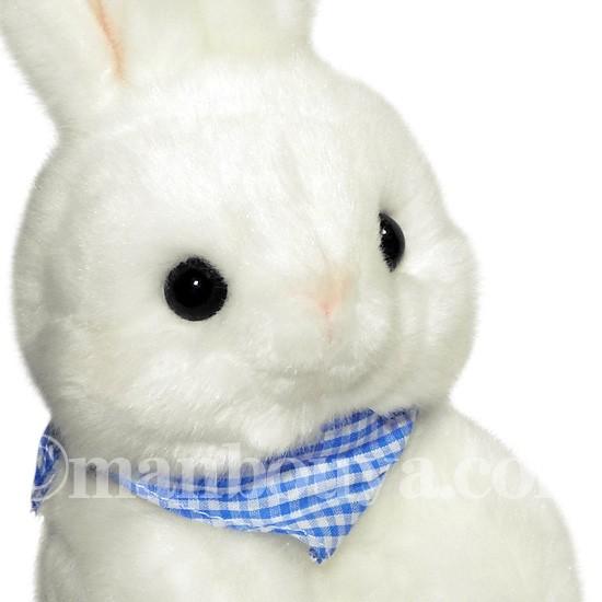 うさぎのぬいぐるみ ホワイト 北海道キャラクター コロコロコロルくんシリーズ 白うさぎ ぽん吉くん 24cm まんぼう屋ドットコム Pco まんぼう屋ドットコム Yahoo 店 通販 Yahoo ショッピング