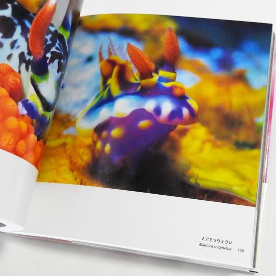 ウミウシ 図鑑 本 ガイドブック パイインターナショナル 世界の美しいウミウシ フルカラー 写真集 192ページ メール便発送可 Pi 4905 まんぼう屋ドットコム Yahoo 店 通販 Yahoo ショッピング