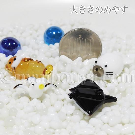 ガラス細工 ミニチュア 雑貨 水族館 お土産 グラススクエア プチ