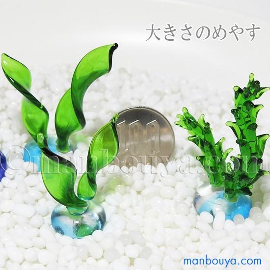 ガラス細工 ミニチュア 雑貨 水草 水槽 アクアリウム グラススクエア 水草a Mサイズ メール便発送可 Pl Gsq 1211 まんぼう屋ドットコム Yahoo 店 通販 Yahoo ショッピング